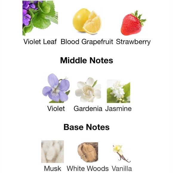 Marc Jacobs Daisy Perfume & Pacifica Jasmine Lime Rollerball Set - Picture 4 of 5